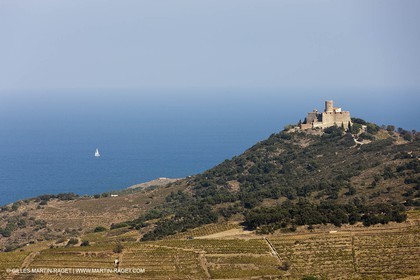 17 10 2011 - Vermeille Coast (FRA, 66) - Saint Elme fortress near Collioure