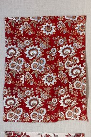 30 06 2011 - Toulon (FRA,83) - Villa Rosemaine - Indiennes sublimes exhibition