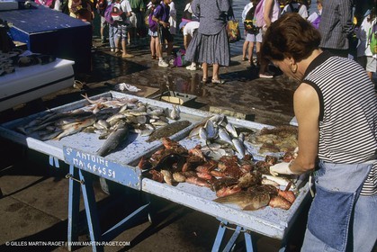 France, Provence, Pêche , Barques, pointus, pêche locale