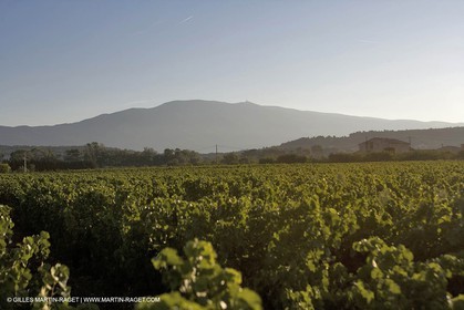 01 09 2007 - Bédouin (FRA, 84) - Mount Ventoux area