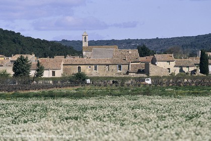 Paysages de Nîmes Métropole (FRA,30)