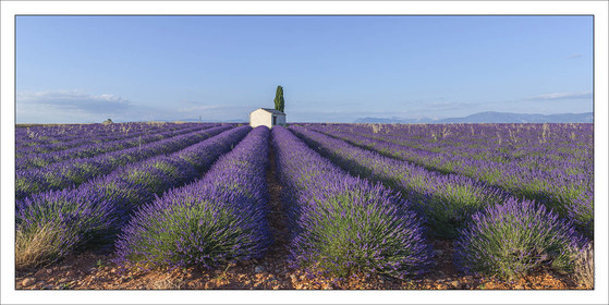 Produit : Tirage photo réalisé par nos soins sur imprimante jet d'encre professionnelle Epson à partir de 8 encres ultrachrome inaltérables (label Digigraphie).Formats au choix : .. 50 x 100 cm. 100 x 200 cmChoix des papiers :. Papier standard brillant 250 gr., filet noir, marge blanche, tirage non signé. Papier haut de gamme satiné 290 gr. filet noir, marge blanche, tirage vérifié et signé par l'auteur.. Autres supports (canvas, acrylique, dibond) sur demandeConditionnement : tube cylindrique renforcé.Options pour l'expédition : . colissimo + dépôt boîte aux lettres (France uniquement). Colissimo avec signature à réception. Transporteur express (2 jours ouvrés) avec signature à réceptionCliquez sur caddie pour sélectionner votre formule et démarrer la procédure de commande en ligne