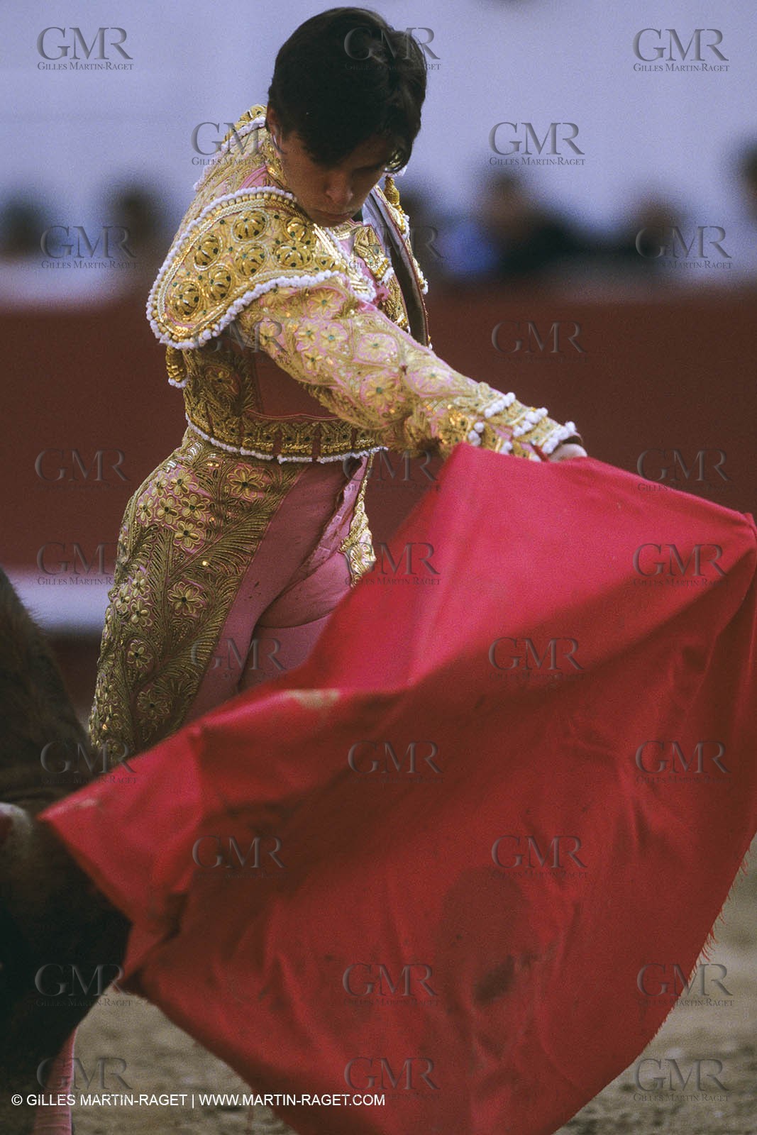 France, Provence, Traditions, tauromachie,