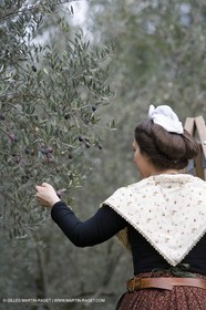 18 02 2007 - Saint Rémy de Provence - Reine d'Arles dans les Alpilles - Ceuillette des olives