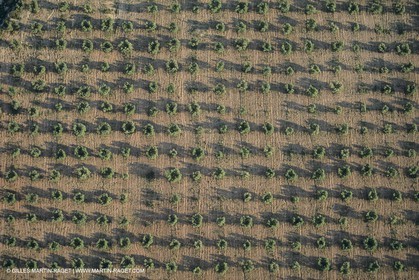 France, Provence, Etang de Berre