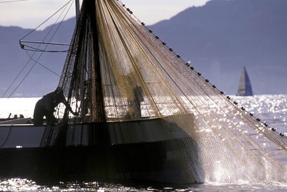 Fishing - local fishing boats