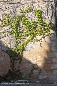 28 04 2009 - Vic - Commune de Ste Anastasie (FRA, 30) - Atlas Nîmes Métropole - campagne 2009