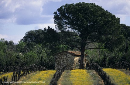 Paysages de Nîmes Métropole (FRA,30) -Costières