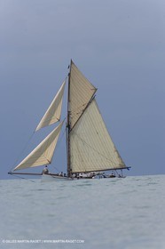 YC9H4345_1.JPG