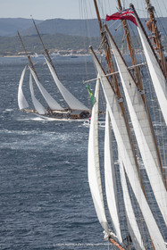 28 09 2022? Saint-Tropez,(FRA,83), Les Voiles de Saint-Tropez 2022 Régate N° 2 poup les modernes, navigation libre pour les grandes goélettes