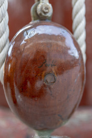 29 03 2019, Barcelona (Spain), Marigold