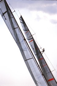 America's Cup, Auckland 2003