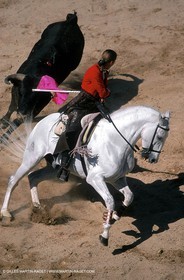Corrida de Rejon - rejoneadrores