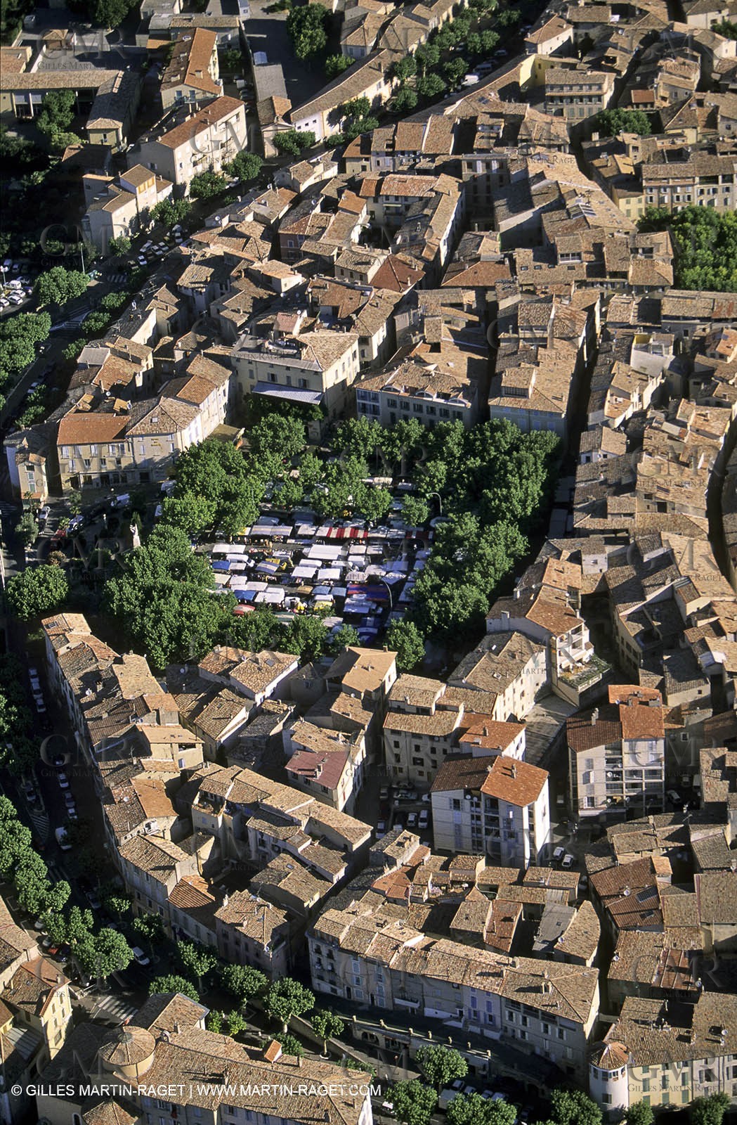 lavander fields , 2005, Manosque