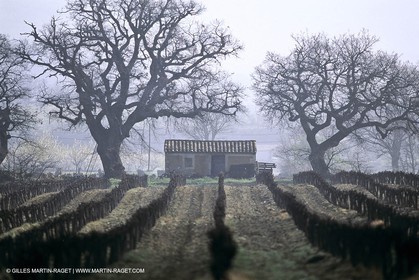 Luberon en hiver vers Saint Saturnin les Apts (FRA,84)