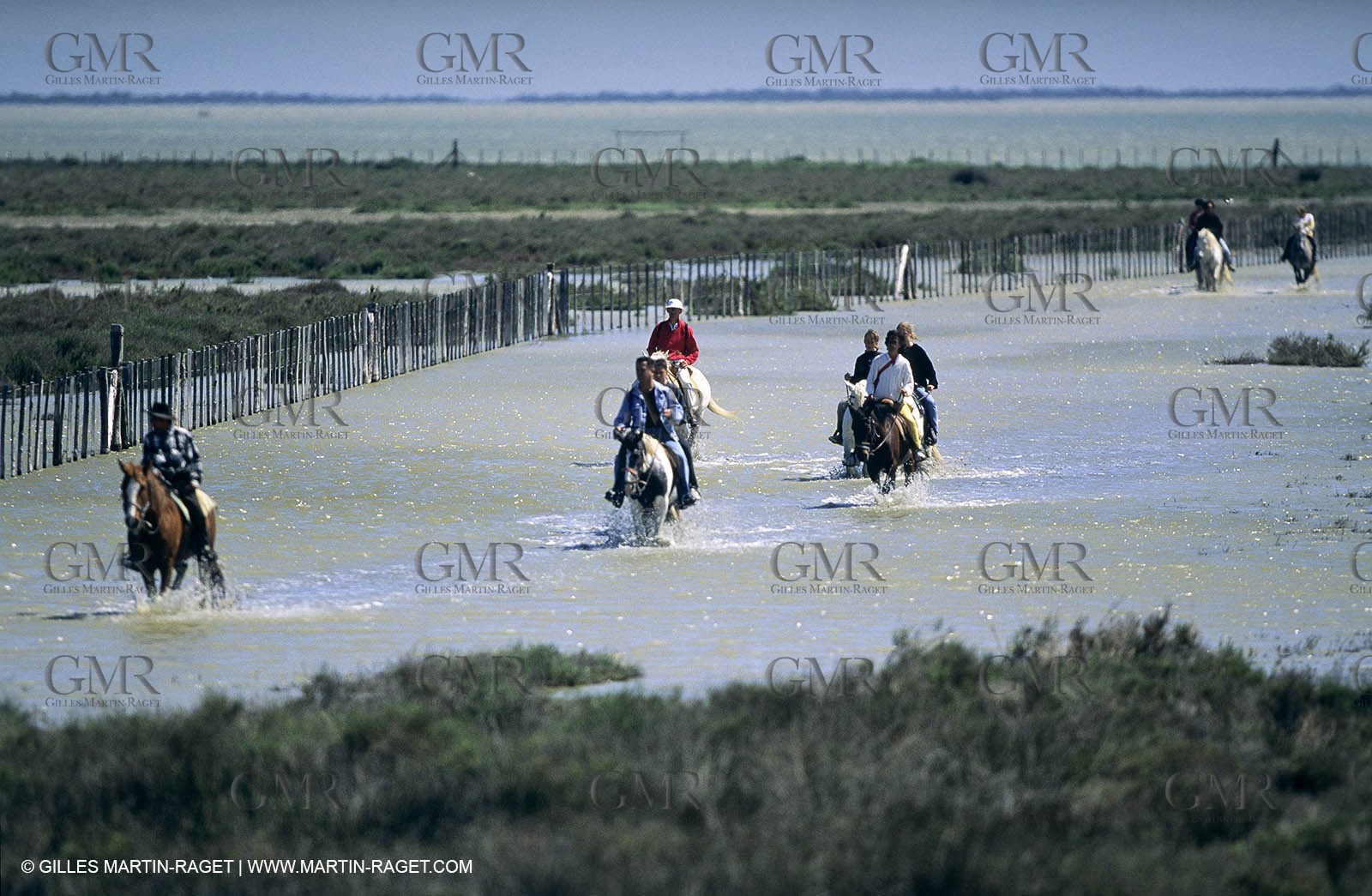 Camargue (FRA,13) - Gardians