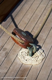 Tuiga
