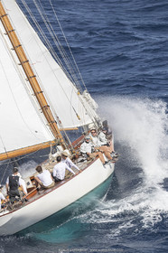 18VSTD5_7898.jpg