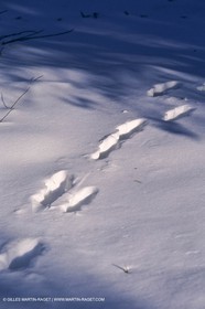 Provence under snow - Baux ed Provence