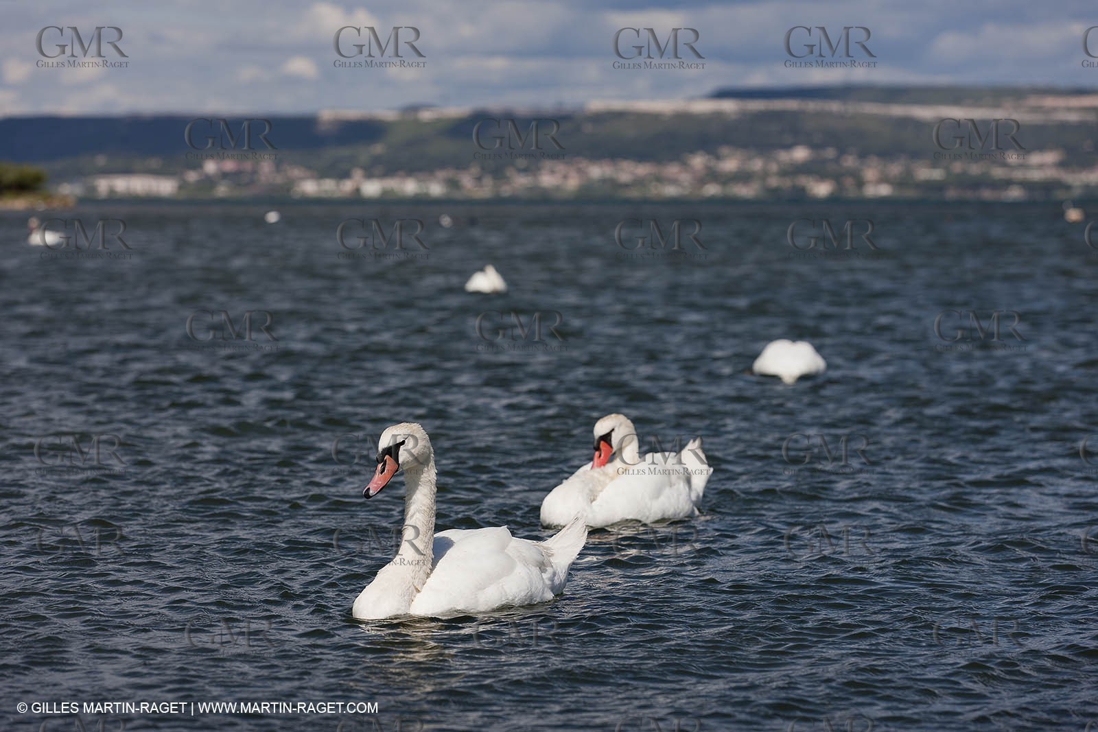 13 06 2012 - Berre l'Etang (FRA,13)