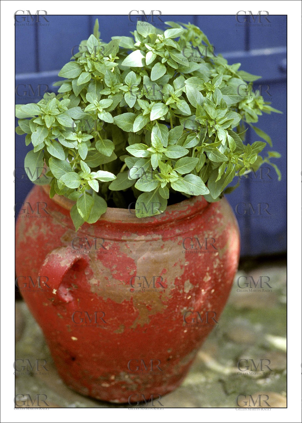 Product: in house made quality print on 8 ultrachome colors Epson ink Jet printer.Available sizes: . 30x40 cm. 50x70 cm. 80x120 cmAvailable papers: . Standard 250 gr glossy paper print, black streak, white margin, no signature. Top quality glossy 290 gr. paper, black streak, white margin, checked and signed by the author. Fine Art print (signed, numbered, stamped, registered) on demand. Other supports (Canvas, Acrylic, Metal) on demandPackaging: cylindric reinforced tubeShipping options: regular mail or Shipping companyClick on the basket icon to select your options and start the online ordering process