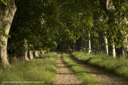04 05 2008 - Arles (FRA,13)