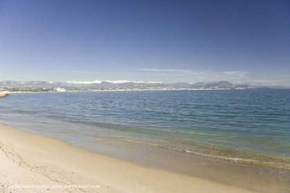 06 02 2008 - Théoule sur mer (FRA, 06) - Mimoses in full flower