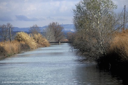 Crapone channel