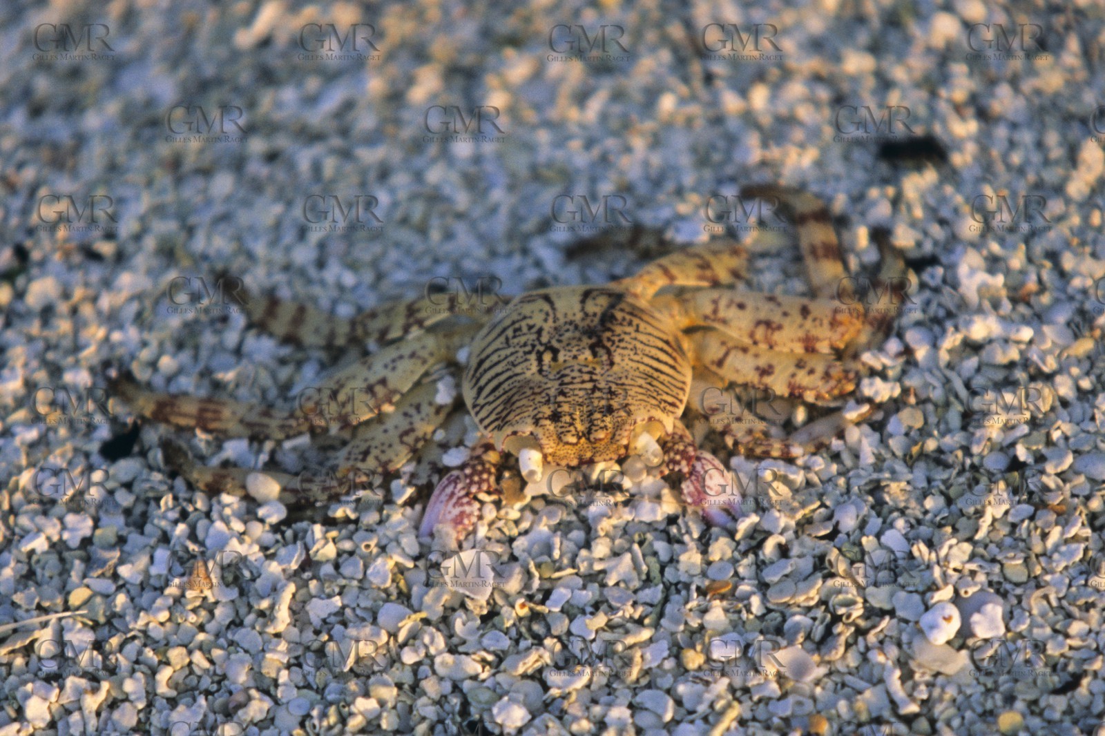 Destinations, Maldives