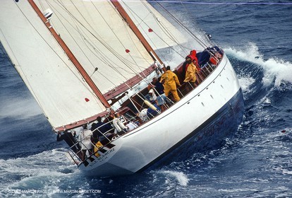 Aile Blanche, Nioulargue, Saint Tropez