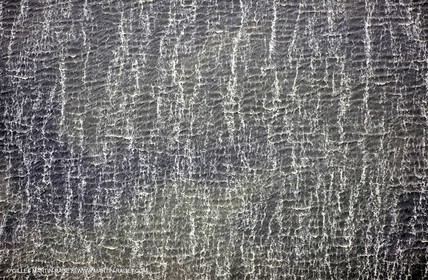 Ponds from Camargue