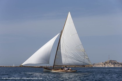 ALCYO014_1346.jpg