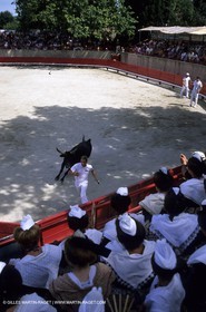 bull games in Clarensac (Gard)