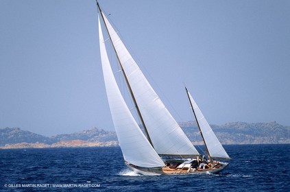 Dorade