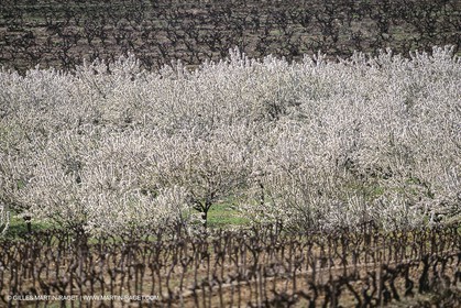 France, Provence, Paysages du Luberon, Luberon Landscapes