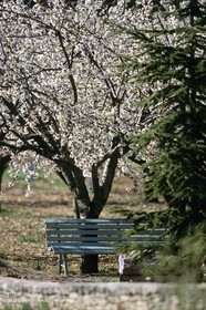 Luberon en hiver vers Saint Saturnin les Apts (FRA,84)