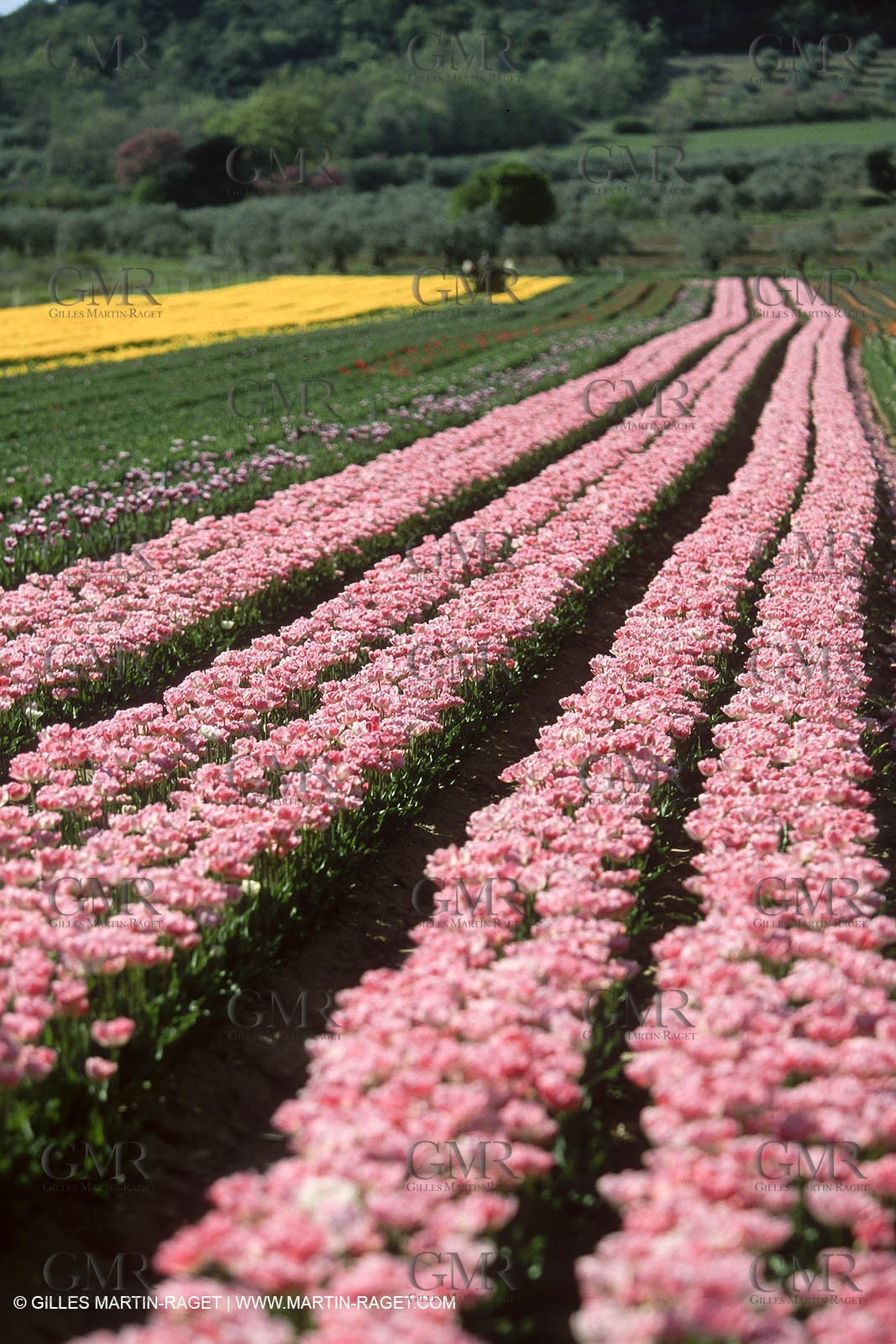 Durance river valley