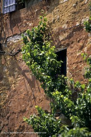 Vaucluse (FRA,84), Les villages du Luberon