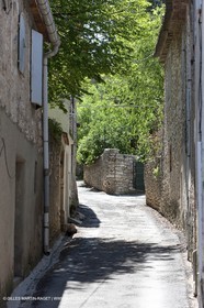 28 04 2009 - Dions (FRA, 30) - Atlas Nîmes Métropole - campagne 2009