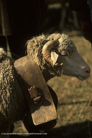 Saint Rémy de Provence (FRA,13) - Fête de la Transhumance