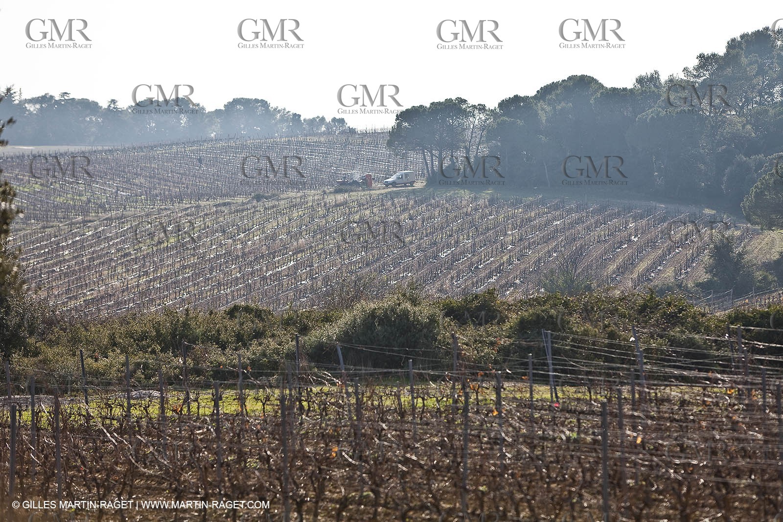 Saint Drézéry (FRA, 34), Domaine de Puech Haut