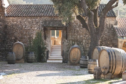 22 12 2008-Cabasse (FRA,83) - Domaine du Lac