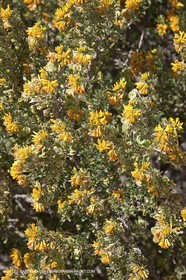 27 03 2009 - Marseille (FRA, 13) - Les Calanques - Morgiou