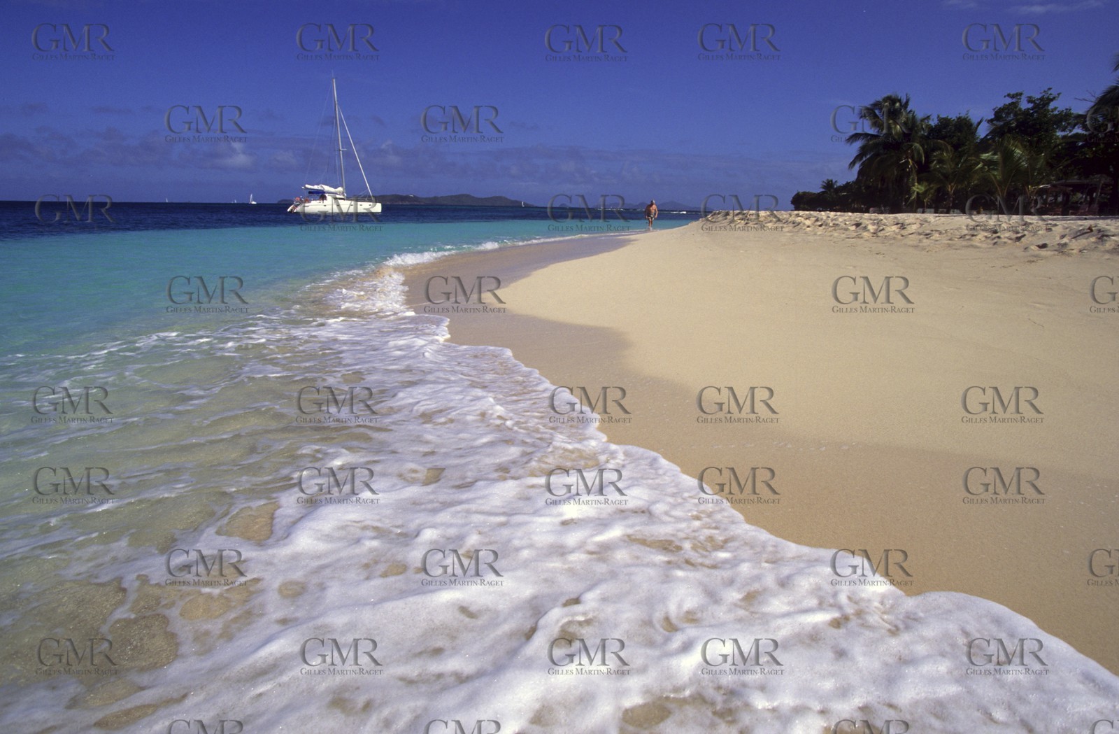 Grenadines - Caribbean - Palm Island