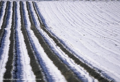 Provence under snow