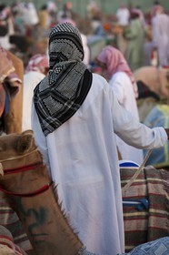 20 11 2010 - Dubai (EAU) - Courses de chameaux