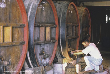 Vin, Vigne , Vendanges, vignification, vignobles, France, Provence, Côte du Rhône, Rosé