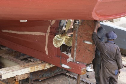 08 11 2014, Capetown (ZAF), Volvo Ocean Race 2014-15, Team Alvimedica, Nursing the boat