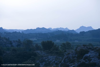 June 24th 2008 - Mouriès (FRA,13) - Alpilles hills landscapes - Le Destet area