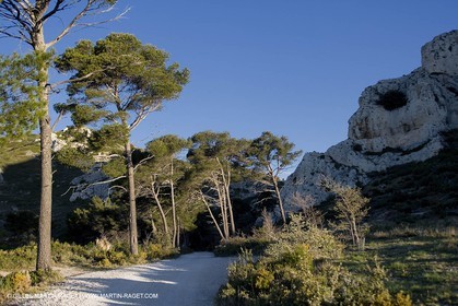 27 03 2008 - Les Baux de Provence (FRA-13) - Paysage des Alpilles